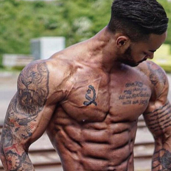 Fucoxanthin – Körperfett verbrennen während dem Schlaf?